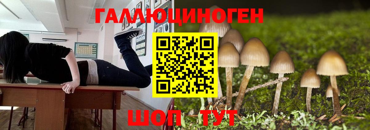 Галлюциногенные грибы Psilocybine cubensis  Галлюциногенные грибы GOLDEN TEACHER  Вход с VPN  наркошоп  Куйбышев 