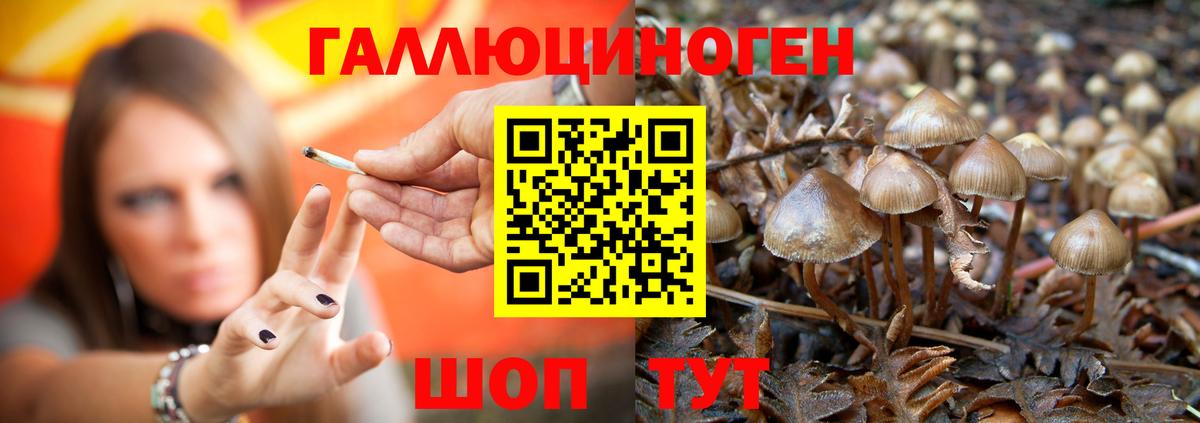 Галлюциногенные грибы Magic Shrooms Куйбышев
